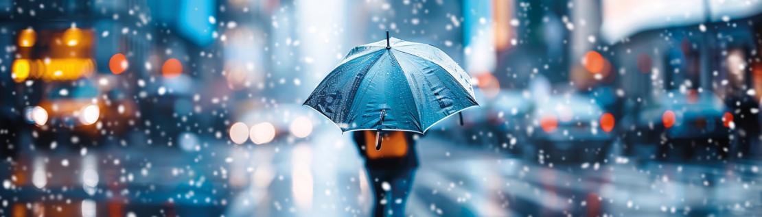 Schutzschirmbescheinigung: Kompass zum Verfahren nach § 270d InsO