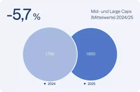 5,7 % weniger Mid- und Large Caps (Mittelwerte) 2025 im Vergleich zum Vorjahr